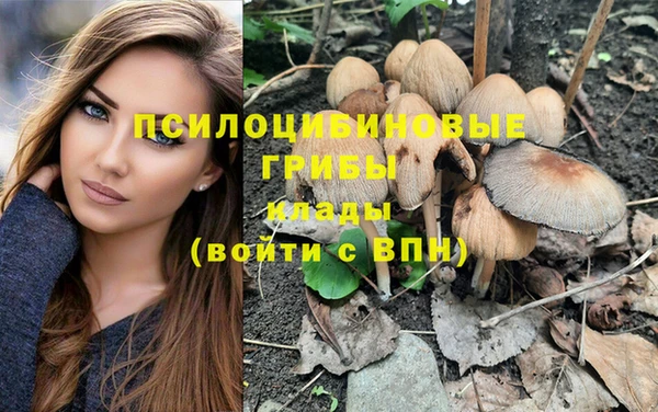 винт Белокуриха