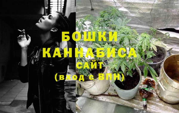 винт Белокуриха